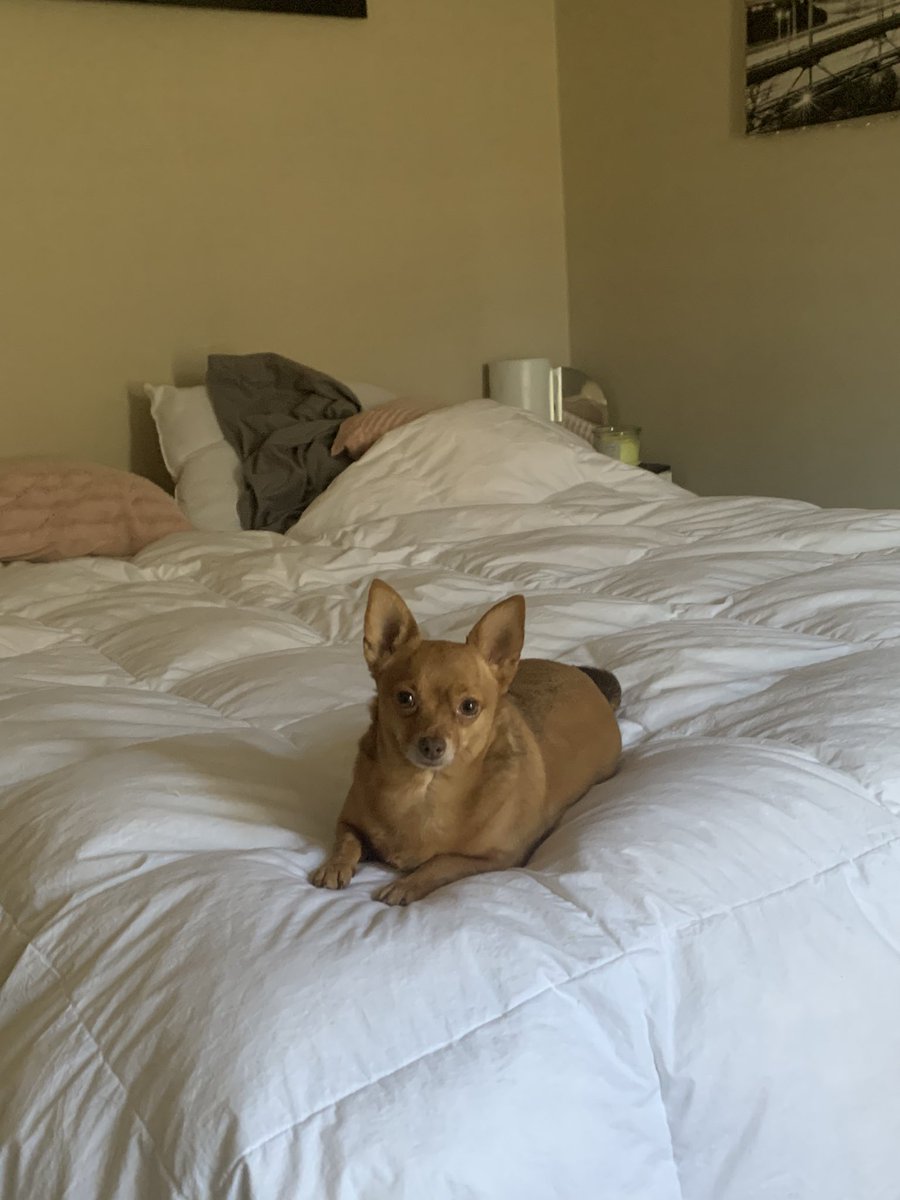 whysaikyo's tweet photo. he posing https://t.co/2WOwoolaZp