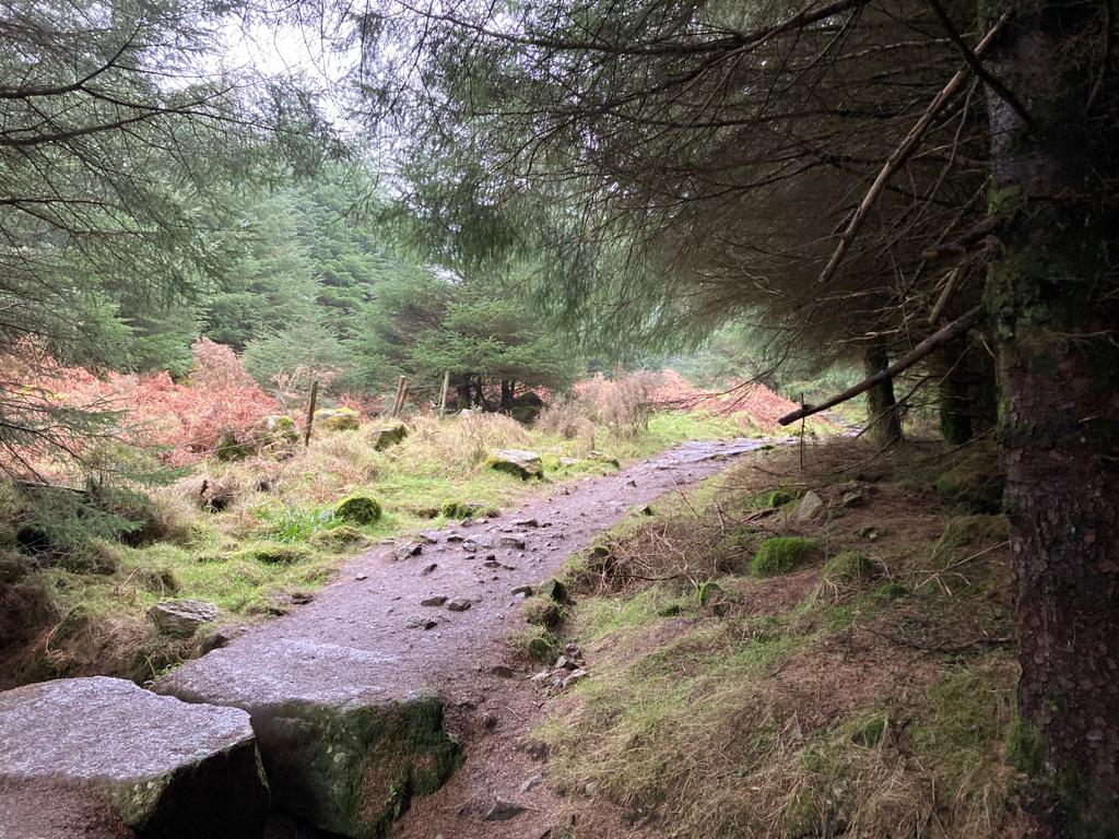 ScenicWalks's tweet photo. Tibradden, what a fine thing you are! 💚😍
https://t.co/FoMIQGul0W
@PhotosOfDublin @adrianhendroff @VisitDublin @LovinDublin @OldDublinTown @OldeEire @discoverirl @CapturedIreland @WalksIreland @IrelandWalking @ThePhotoHour @CMacCoille @DiscoverIreland @DLRTourism @ancienteastIRL https://t.co/Fv8toW6kiI