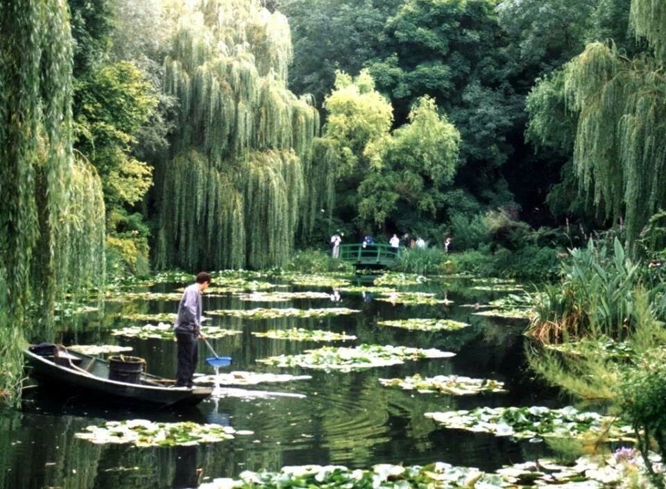 storiadellart's tweet photo. claude monet's garden, from life to art. https://t.co/mt7anHDXeY