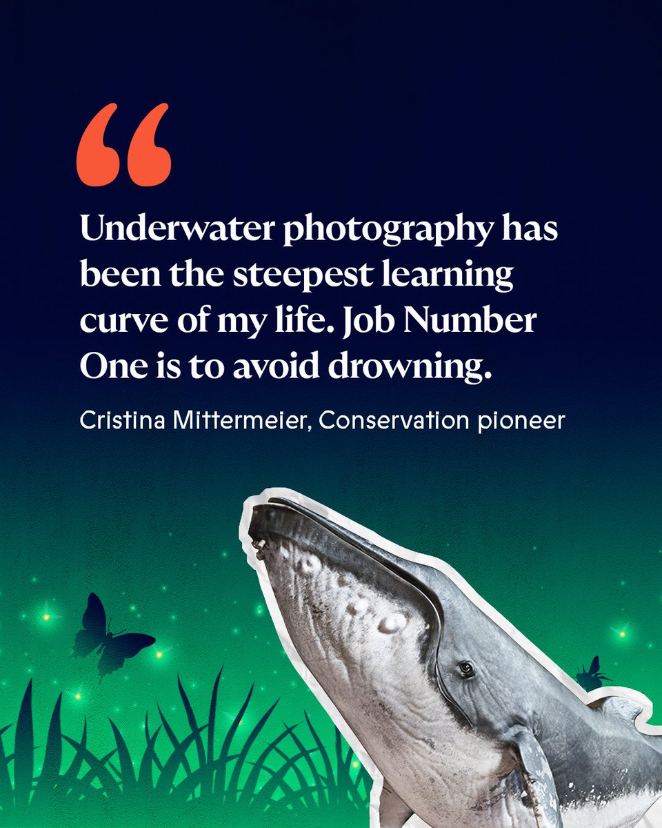 Interview coming soon: @cmittermeier has a love for the oceans that includes the marine life beneath the surface and the people living on the coasts. The pioneer of the modern conservation movement chats to <a href="/greengraeme/">Graeme Green</a> <a href="/newbig5project/">@newbig5</a> on TOPIA 🔜 worldoftopia.com