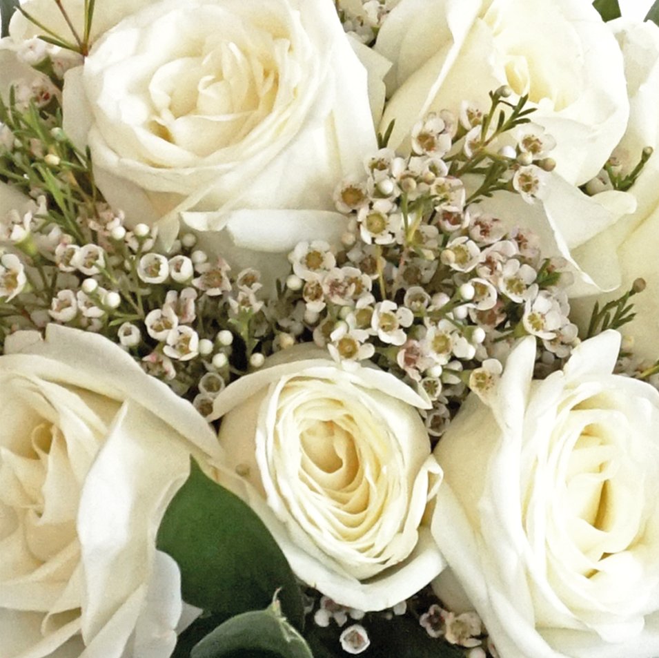 The gift of tranquillity in floral form. Take a deep breath and soothe your senses. Like a trusted friend who always knows what to say, these light, peace-giving tones, accentuated by darker foliage, will stick with you through thick and thin.
Featuring our “Tranquillity” bouquet