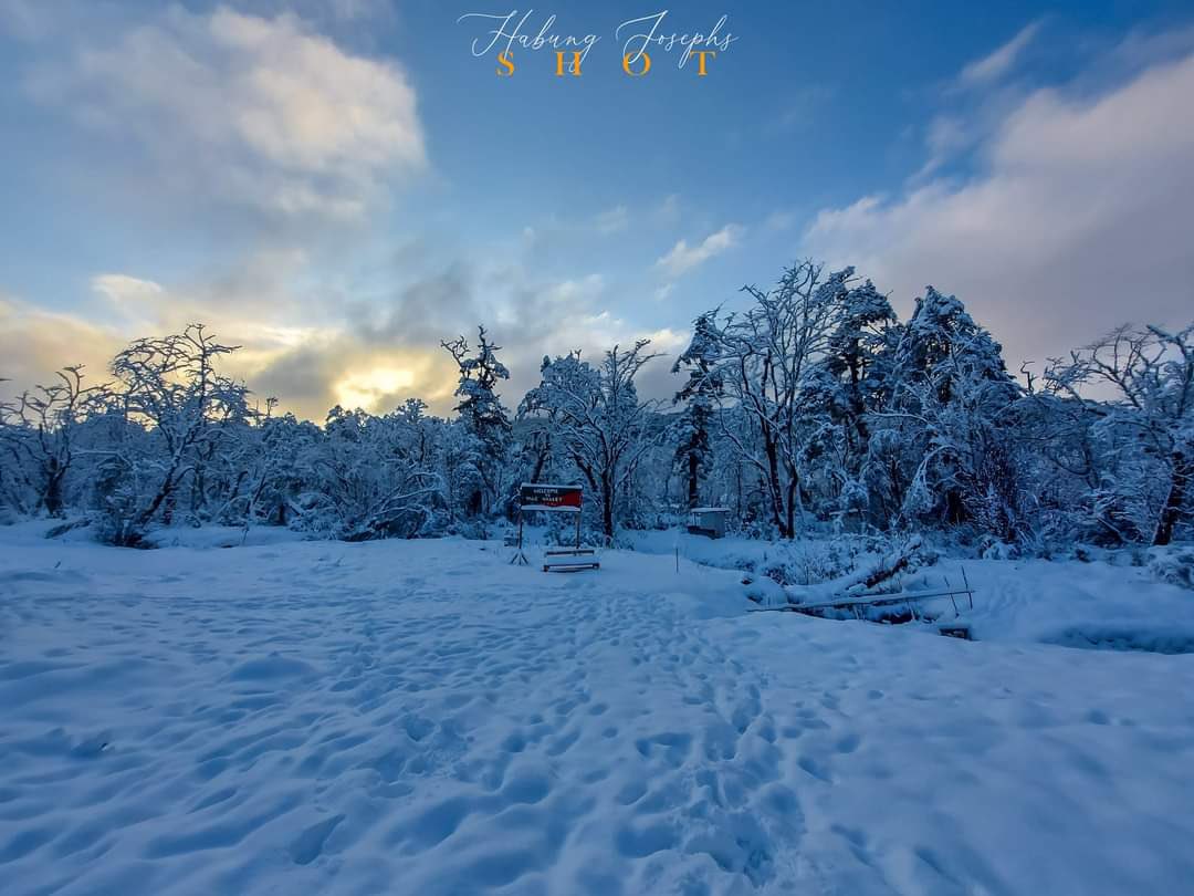 NortheastToday's tweet photo. The winter wonderland of pristine Tale valley. The valley was inhabited by the Apatani tribe before their migration to Ziro. It now comes under the Tale Wildlife Sanctuary. #ArunachalPradesh

📷 Habung Joseph

@ArunachalTsm @PemaKhanduBJP

#Talevalley #Arunachal #northeastindia https://t.co/sTfgP2mRaB