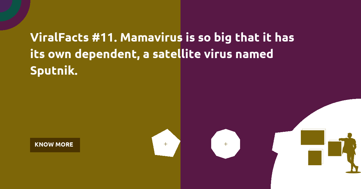 thebiologist14's tweet photo. ViralFacts #11. Mamavirus is so big that it has its own dependent, a satellite virus named Sputnik. #physicaldistancingclub #handwashing #stayhomestaysafe #Coronavirus #VaccinesWork #COVID19 https://t.co/Ern80Wi50x