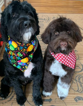 Anna Annette tweet media