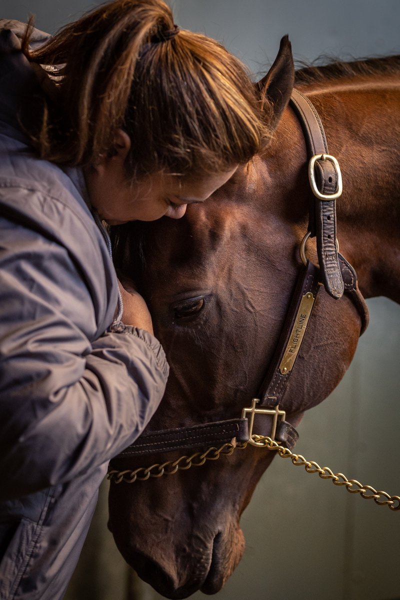 sadlerracing's tweet image. On the eve of the #EclipseAwards we want to say   thank you to Flightline's team. Thank you for all the early mornings, your unwavering dedication, and loving care. "The strength of the team is each individual member. The strength of each member is the team." @johnwsadler