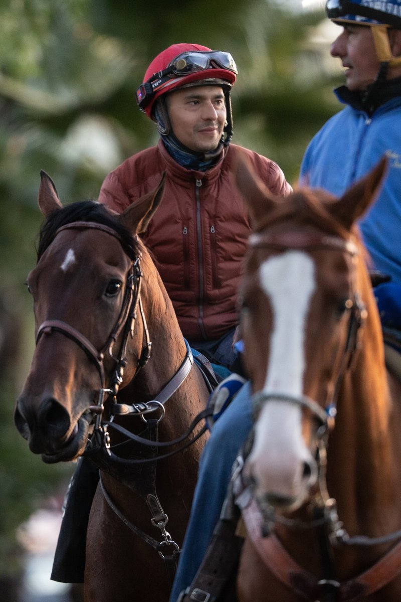 sadlerracing's tweet image. On the eve of the #EclipseAwards we want to say   thank you to Flightline's team. Thank you for all the early mornings, your unwavering dedication, and loving care. "The strength of the team is each individual member. The strength of each member is the team." @johnwsadler