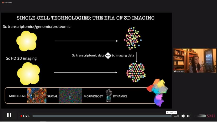SAEMGPharma's tweet photo. 3D Cell Culture Virtual Conference final presentation is with Anne Rios, Principal Investigator/ Head of the PMC imaging center, Princess Maxima Center of Pediatric Oncology presenting on Organoid Cellular Cancer Immunity Model In Motion
#SMi3DCellCulture #3dcellculture #3dcell https://t.co/PCjJB2dMV5