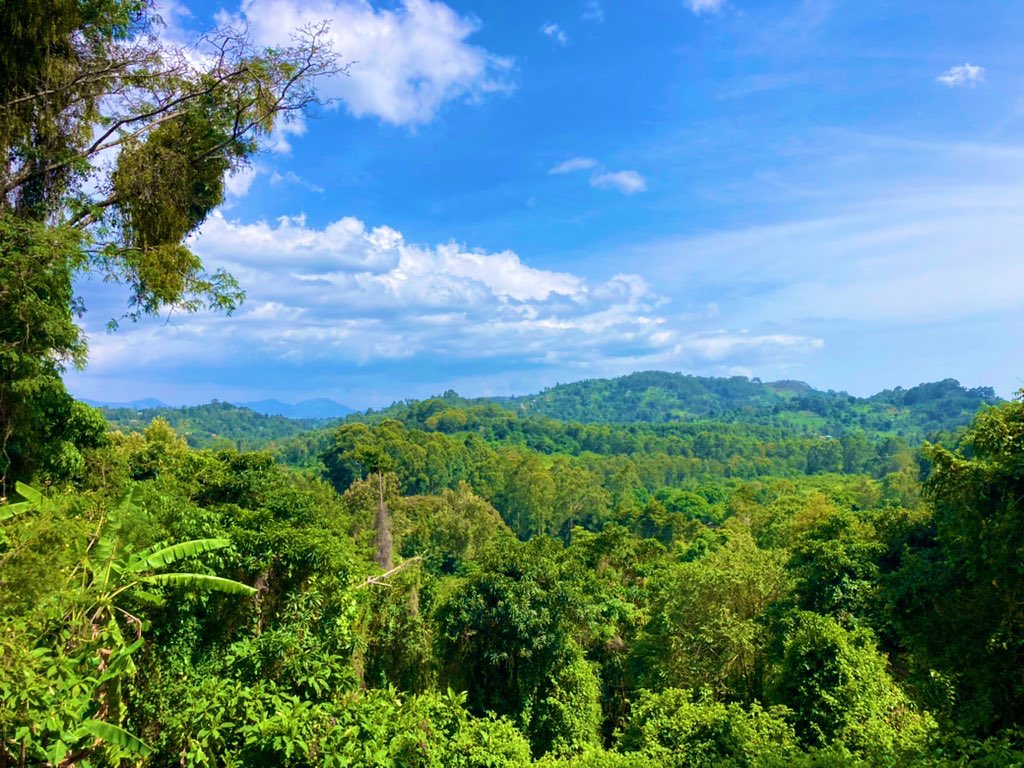 SafariOffers's tweet photo. The beautiful Usambara Mountains in #Tanzania 🇹🇿 A place off-the-beaten track. https://t.co/ScXBwjORpN