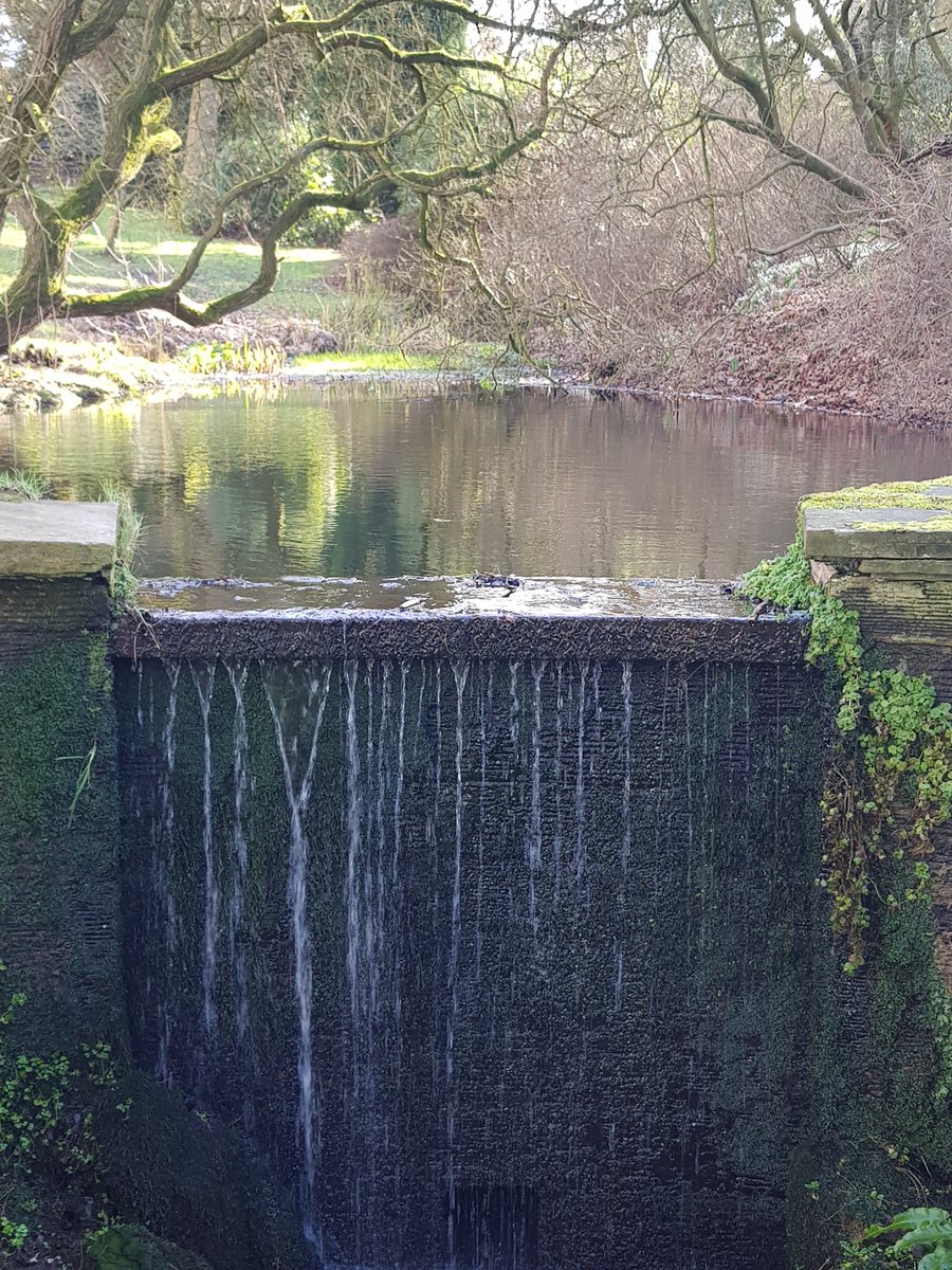 kendie's tweet photo. and a few from the gardens at Rode Hall #RodeHall https://t.co/EitxC6aM3m
