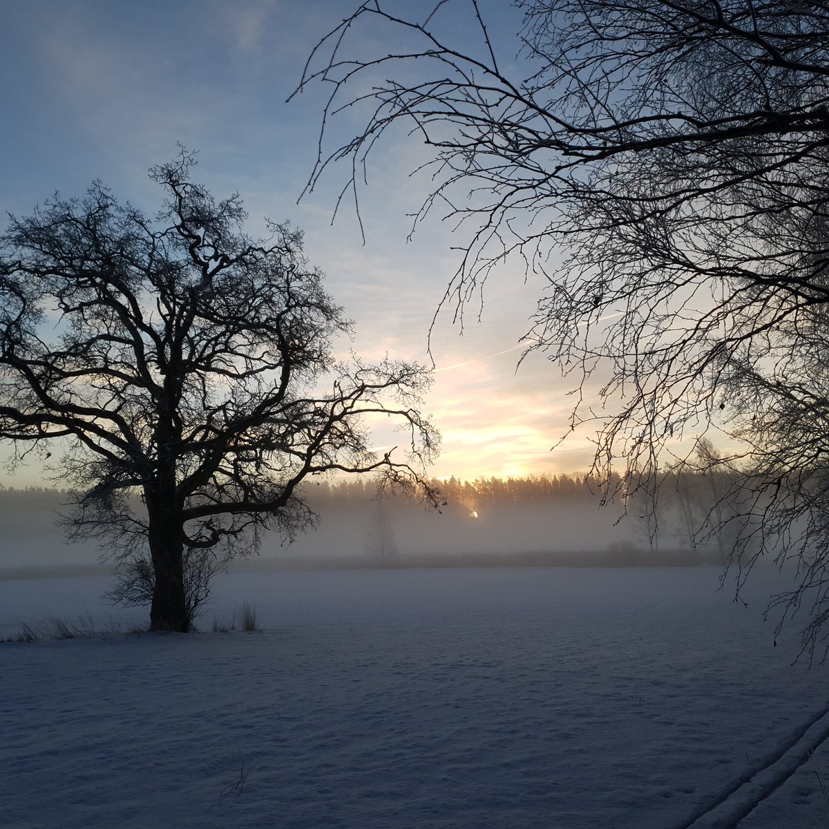 Hienoja aamu aurinkoja, puhdas suomen ilmasto 🇫🇮