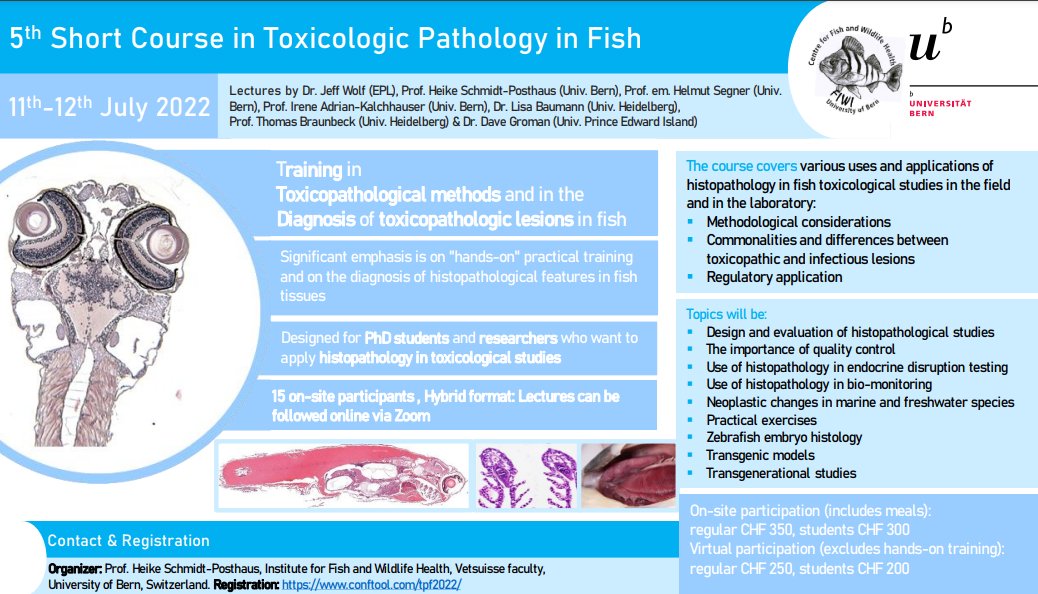 Would you like to apply histopathology in fish toxicological studies?🐟
Then register for this training in toxicopathological methods &amp; in the diagnosis of toxicopathologic lesions in fish! 
🗓️11-12 July 2022 
ℹ️: bit.ly/34wVnIX
📝Register here: conftool.com/tpf2022/