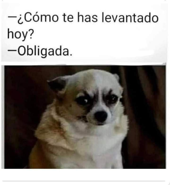 ValeArvejita's tweet photo. Sí soy. https://t.co/2jbh5lSxG8