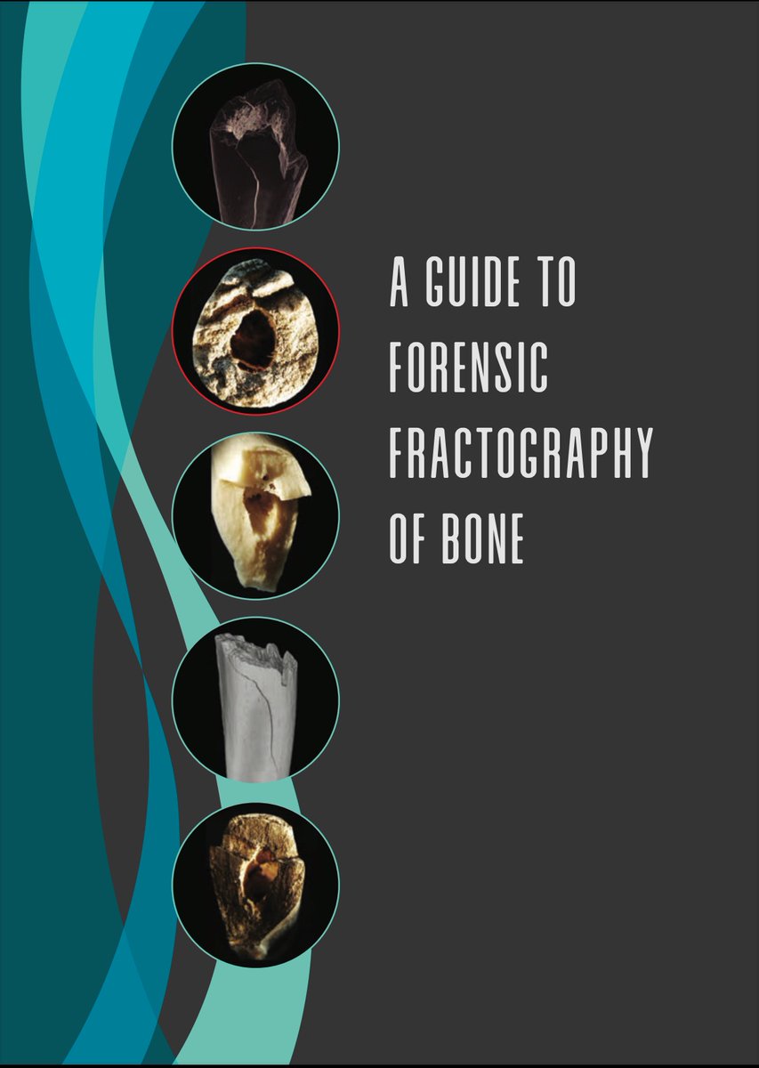 Mari Isa tweet media