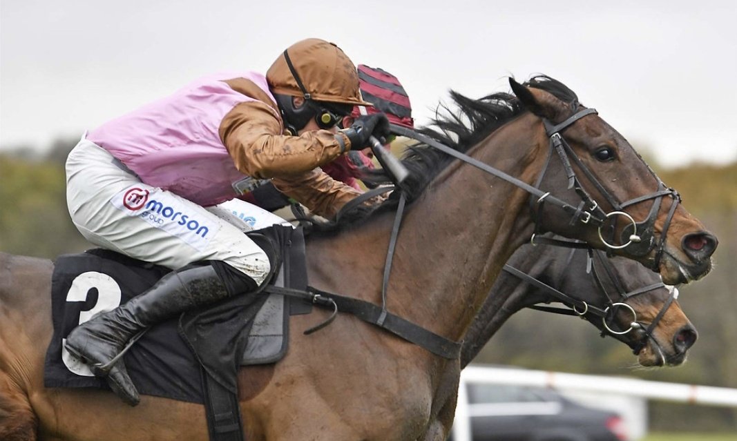 😍 If Elle Est Belle wins the Listed Hurdle at Huntingdon today I'll give £50 CASH 💷 to one of you lucky people! 

To Enter: 👇

1️⃣ RT this Tweet 
2️⃣ Follow <a href="/racingblogger/">Stephen R Power</a>
 
#CheltenhamFestival #Giveaway