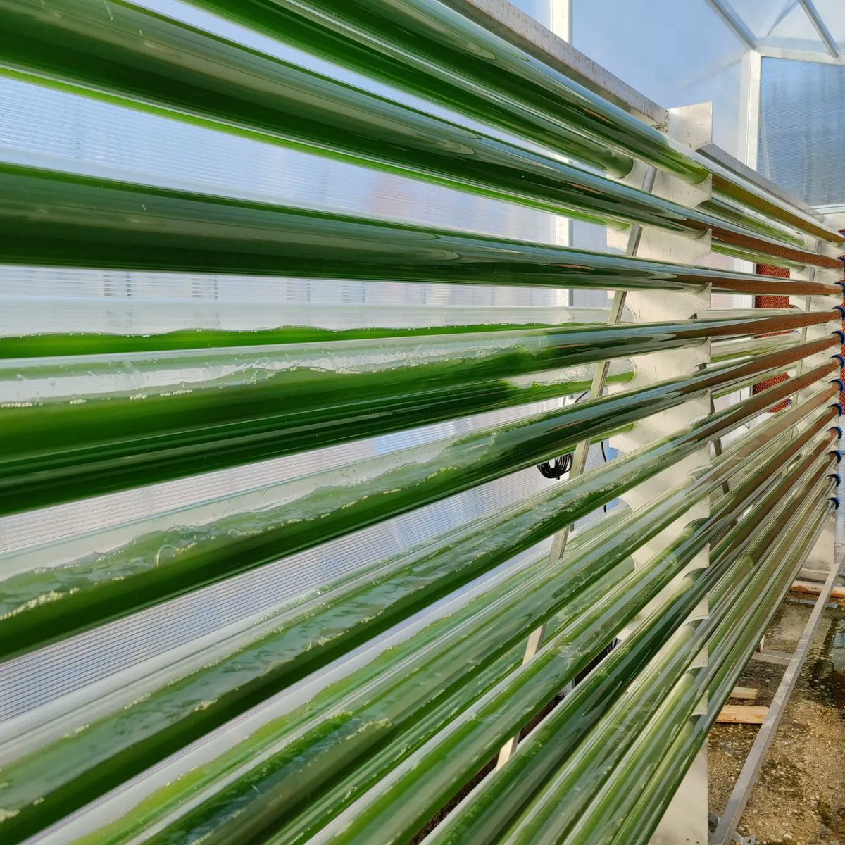 spyros gkelis tweet media