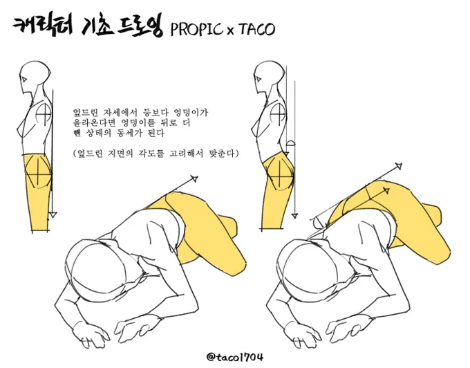엎드린 자세에서 등보다 엉덩이가 올라온다면 엉덩이를 뒤로 더 뺀 동세가 된다 