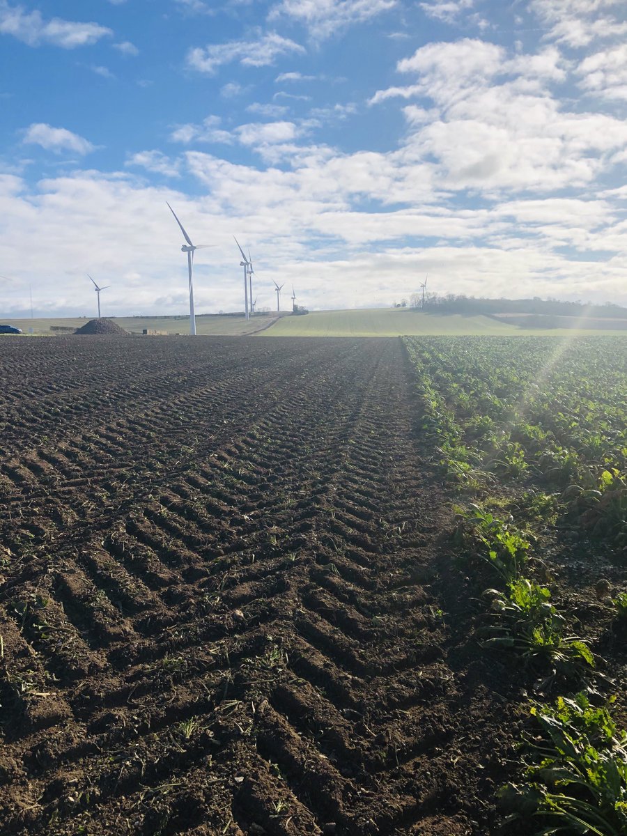 AWTFARMSERVICES's tweet photo. Lifting beet Wadlow Farms 👍⁦@AWTFARMSERVICES⁩ https://t.co/SS9Z4rTXS2