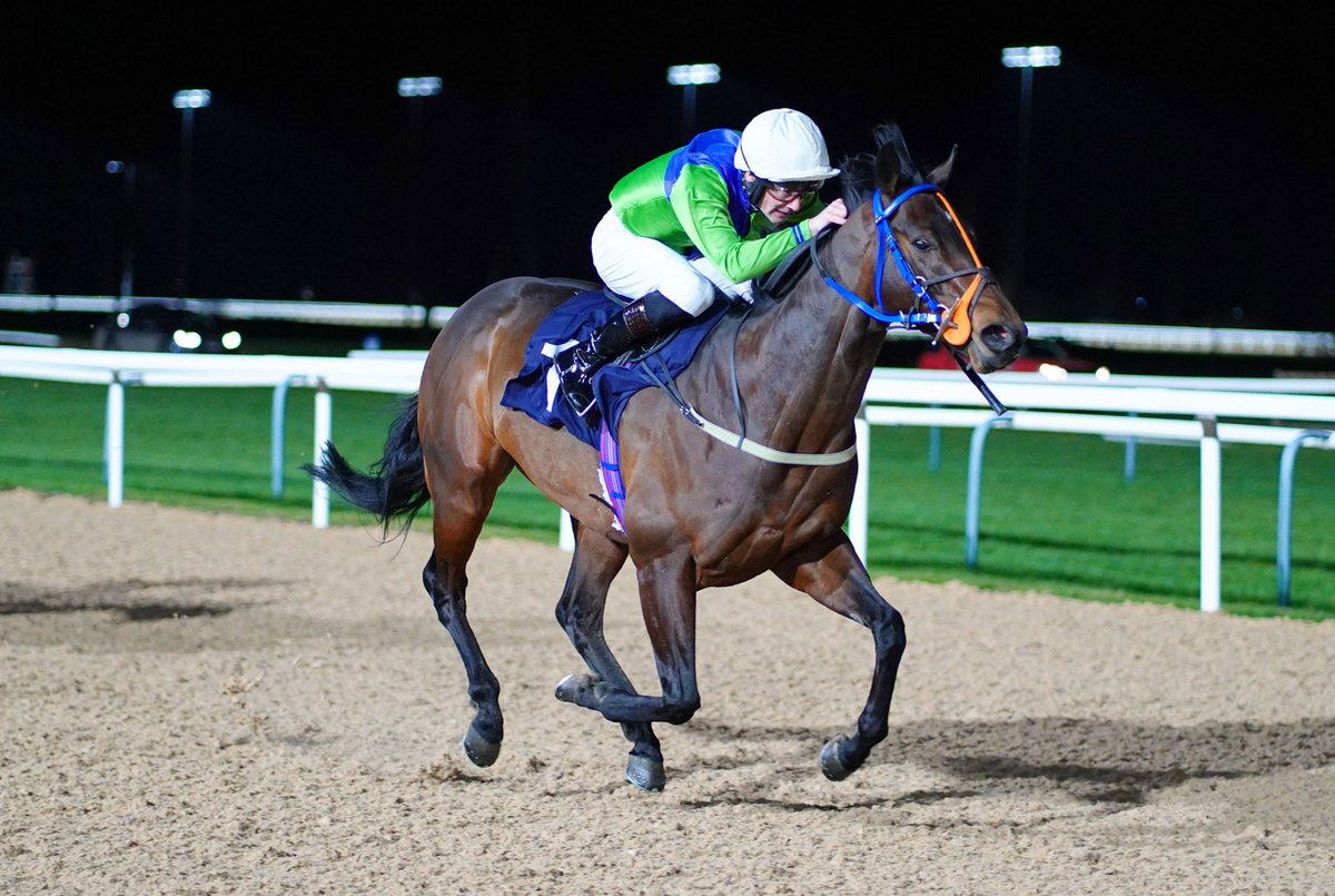 Edmunds_98's tweet photo. Great to get UK winner 200 & 201 in a Dobule @Southwell_Races on Tuesday for Roy Bowring #jeansmaite #cliffcake
#WINNER https://t.co/H45k46B5Og