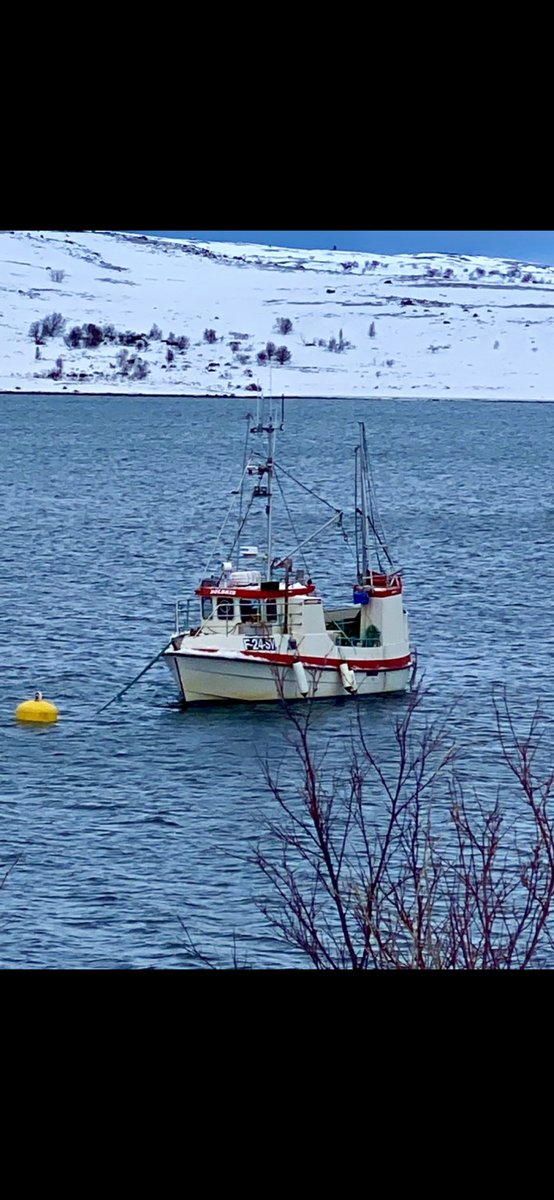 LenaWarelius's tweet image. Fishing is a big deal in the Arctic. It was free and neutering food. #thenewarctic #fishinglife #Arctic #pescaria #钓鱼 #釣り #ловля #pesca #sayd #peche