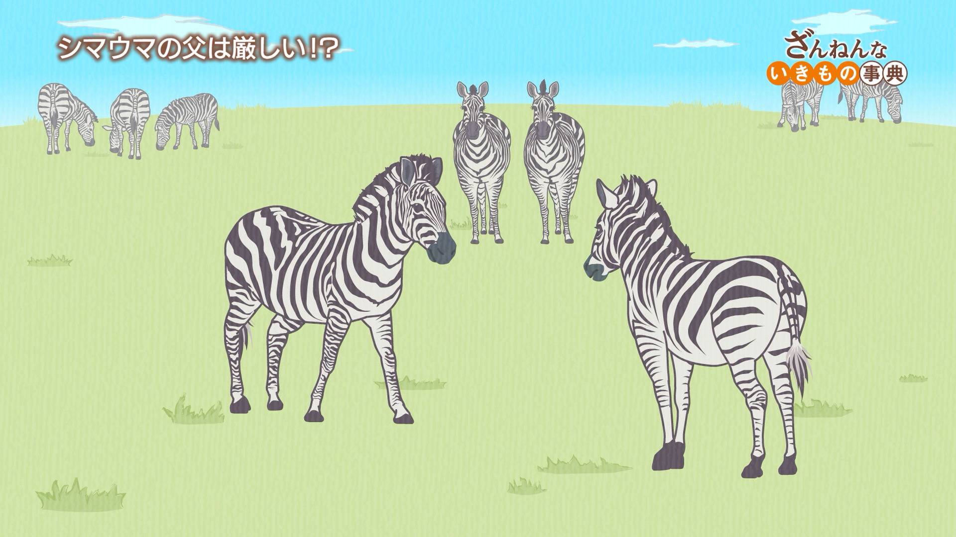 映画ざんねんないきもの事典 公式 Zannen Movie Twitter