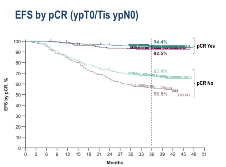Paolo Tarantino tweet media