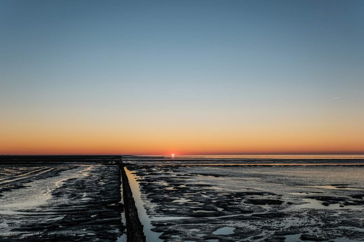 Het Wad bij Holwerd.