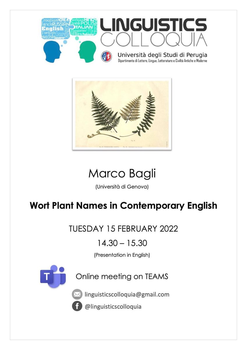 marcobagli's tweet photo. Tuesday 15th February, 2:30pm CET I am going to present my latest article that appeared on @Iperstoria1 at the Linguistics Colloquia at @UniperugiaNews: “Wort plant names in Contemporary English” (link in the comments) https://t.co/JcNBr7A0ox