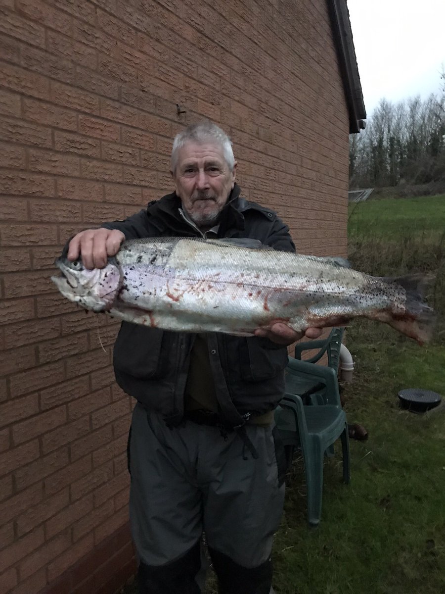 bransfordfish's tweet photo. Been away a while . Here’s a few pics from recently #trout #bransfordfisheries #biburytrout #fishingcompetitions https://t.co/M6fun3kGcl