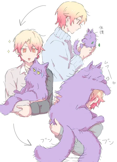 るいcat 