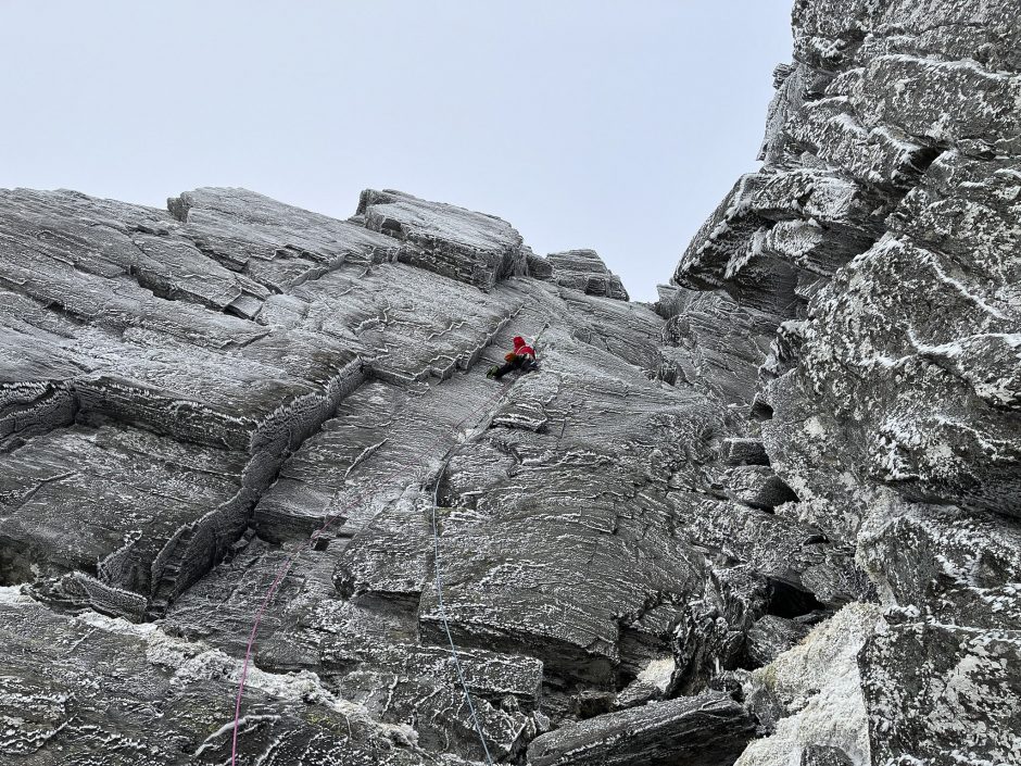 simrich99's tweet image. Raw Egg Twin Pack dlvr.it/SJkVZB