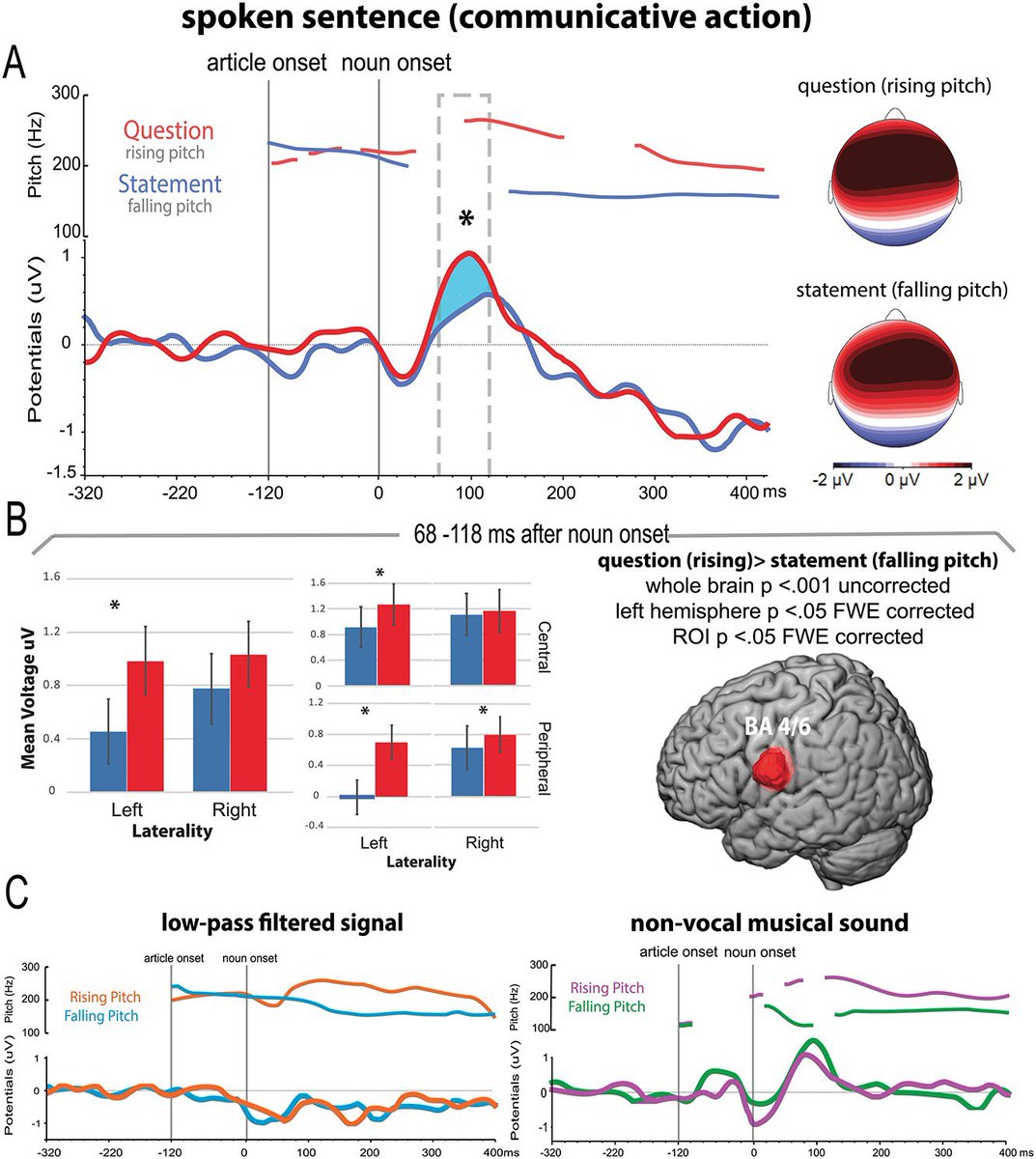 Rosario Tomasello tweet media
