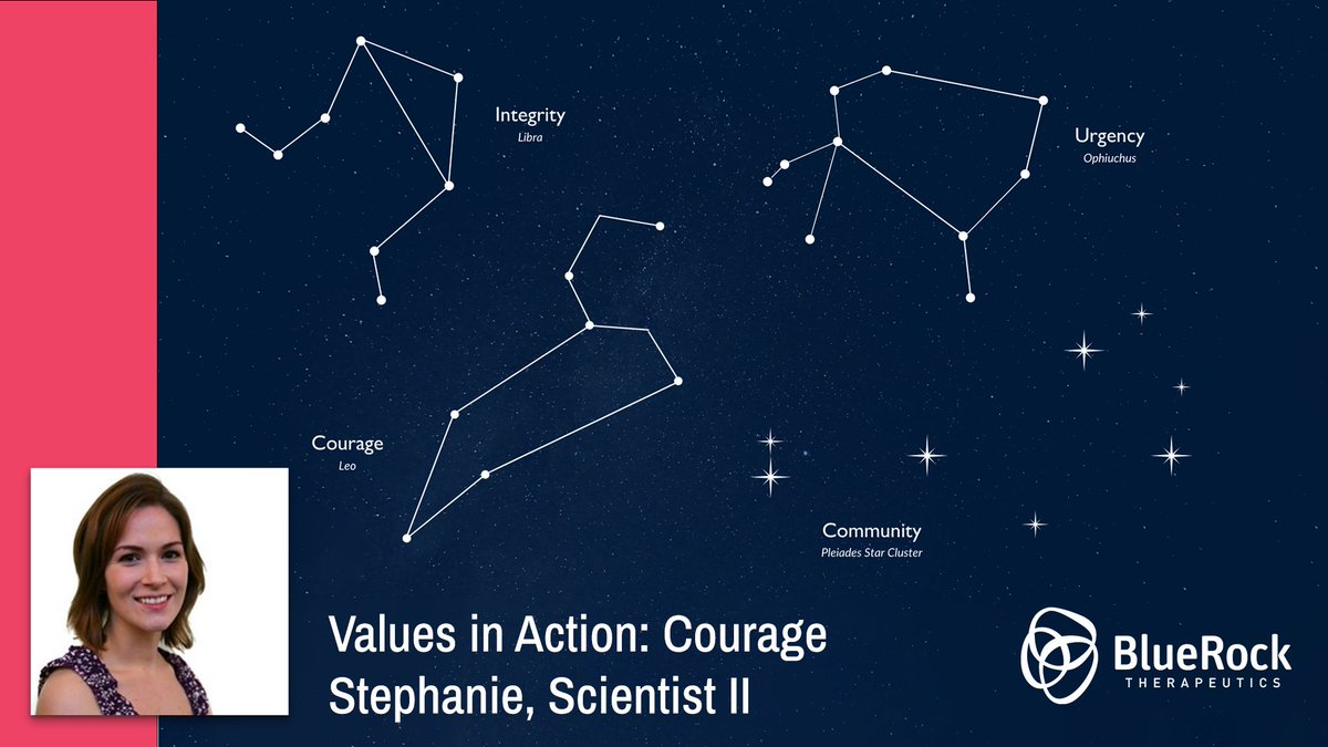 BlueRock Therapeutics (@bluerocktx) on Twitter photo Stephanie, Scientist II, on #Courage: “You just need to keep looking forward—figure out what needs to be done. Then engage your team—break down the project so the whole team has a piece of the puzzle.”   
#BlueRockers #BlueRockTx #Courage #Leadership Stephanie, Scientist II, on #Courage: “You just need to keep looking forward—figure out what needs to be done. Then engage your team—break down the project so the whole team has a piece of the puzzle.”   
#BlueRockers #BlueRockTx #Courage #Leadership