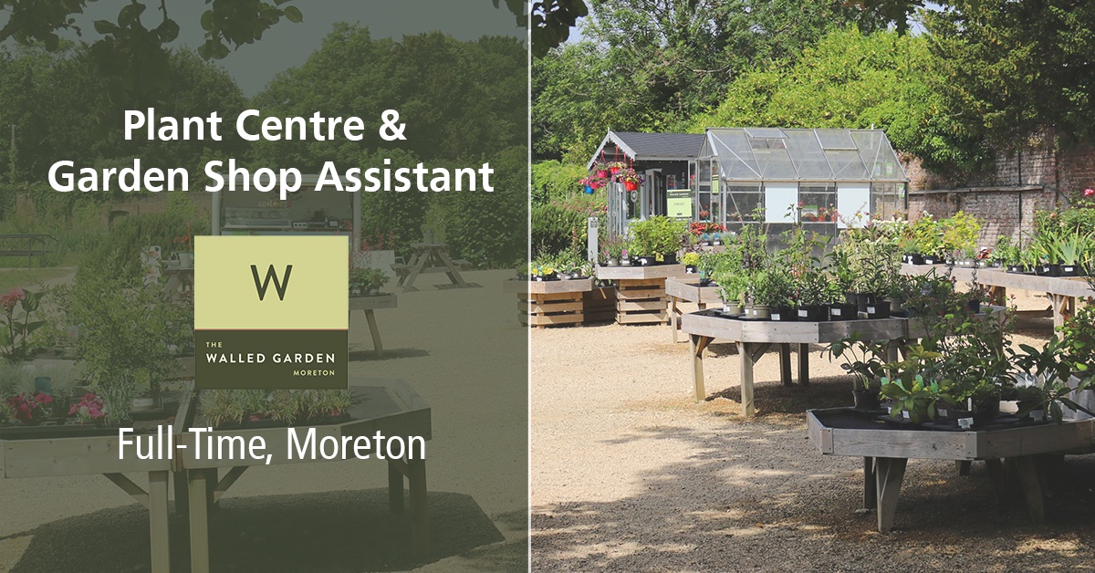 Employ My Ability continues to grow, and we have a few more job openings at our sites in Moreton, and Gillingham. Take a look at our website to find out more, and check back as we should have more soon!

#DorsetJobs #Dorset 

 employmyability.org.uk/jobs/