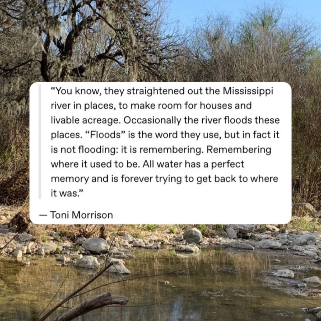 IndigeCultures's tweet image. "All water has a perfect memory and is forever trying to get back to where it was.” 
-- Toni Morrison, From a talk given at the New York Public Library in 1986. 
Graphic by: @woundrecovery IG
 #water #waterislife #watermemory #indigenous #blackhistorymonth #ToniMorrison