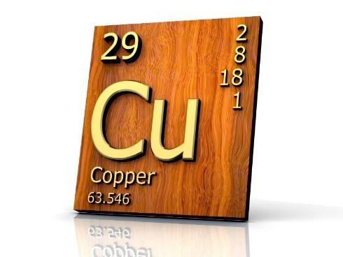 OmexCanada's tweet photo. Did you know that… Copper is taken up mainly through interception (the root hair needs to grow into the band of fertilizer to absorb it)? #primercu #copper https://t.co/0sN7Y08UqW