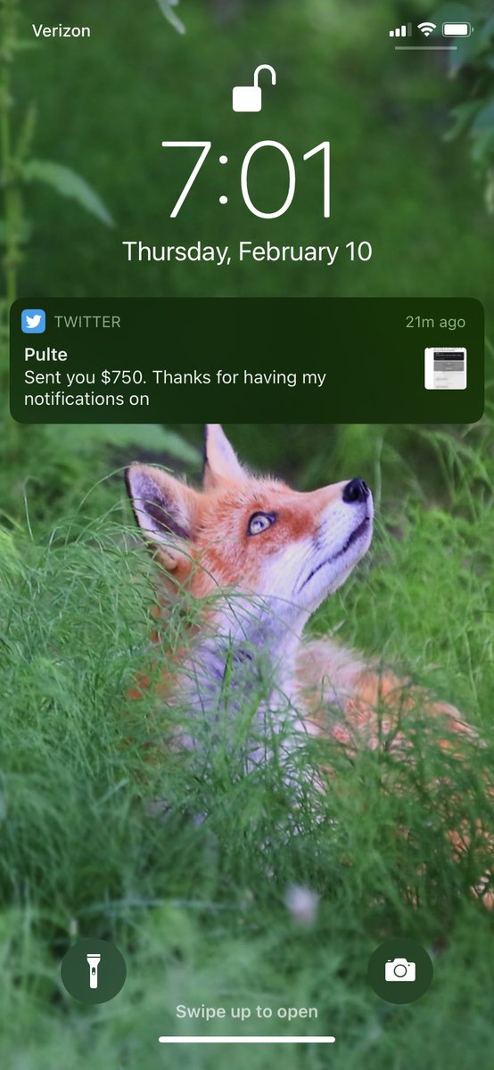 aprilG29's tweet photo. I also have notifications on, spread the love this way @pulte!! 💚 https://t.co/umCaxgbofn