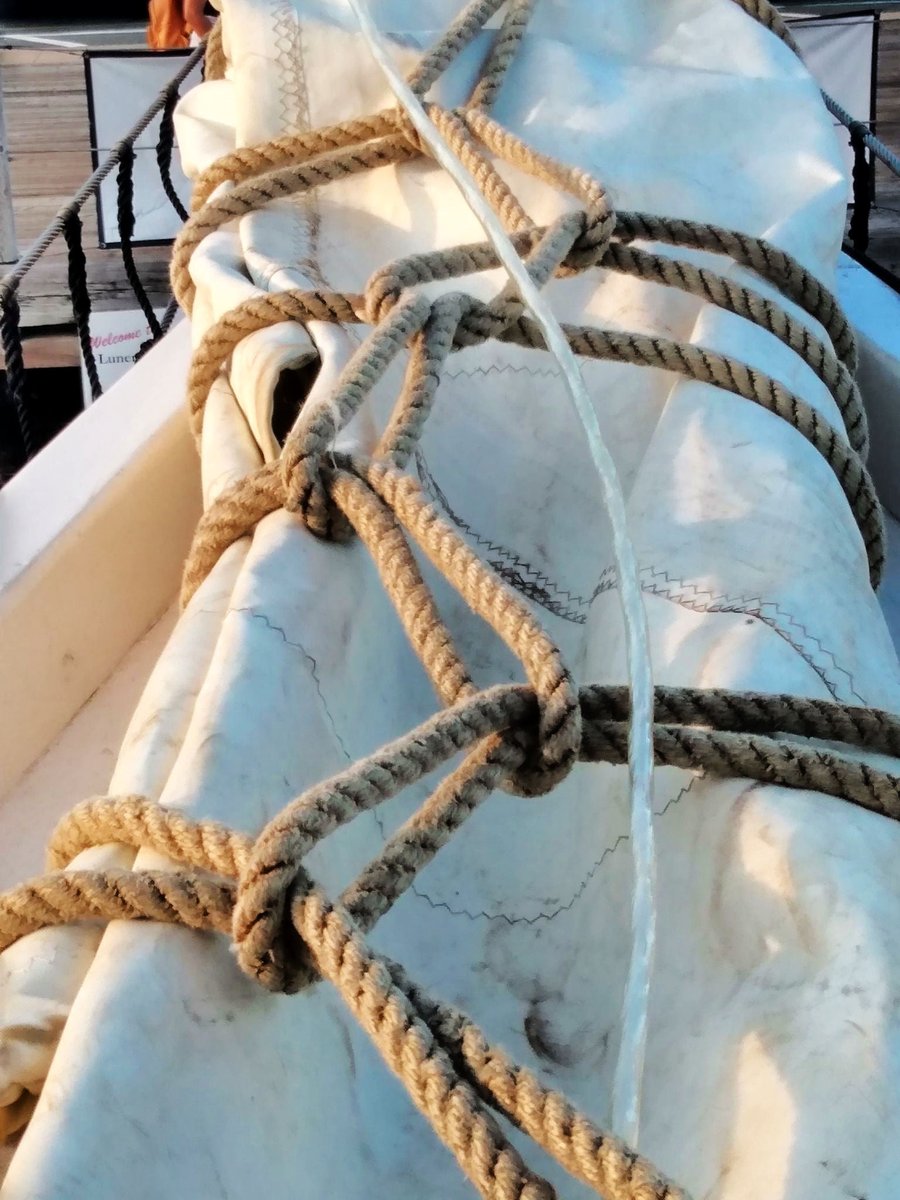 SailBluenoseII's tweet photo. "Find beauty in the bigger picture. Find love in the details" - Unknown

Thanks to Kate Oland for capturing these lovely close-up shots! https://t.co/a1ZeI4jf58