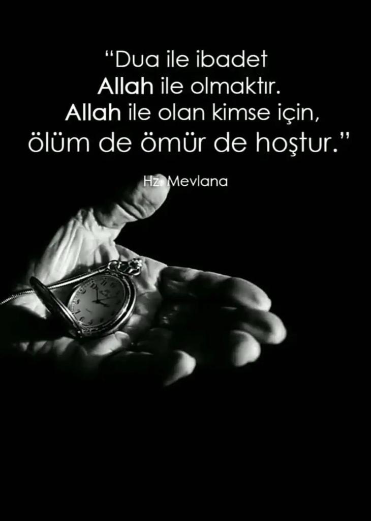 Zennure Arslan (@zennurearslan3) on Twitter photo 