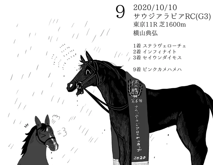 カウントダウン二日目

不良馬場と展開が味方した部分もあるものの、2着馬に3馬身差を付けての圧勝。2戦目にして重賞初制覇を達成
初騎乗のノリさんが「力が違った」と仰ってくれてて嬉しいですね
9着だった彼と、これが最後の対戦になるなんて 