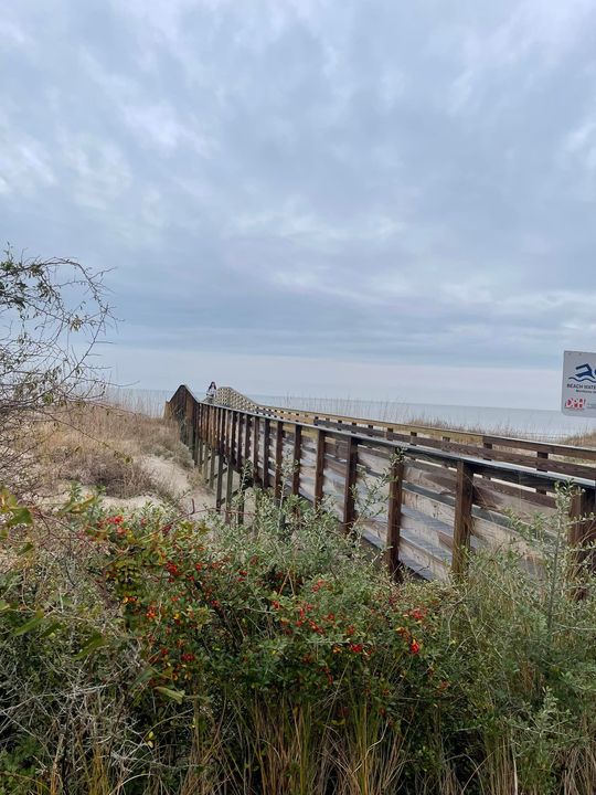 All you gotta do is follow the boardwalk