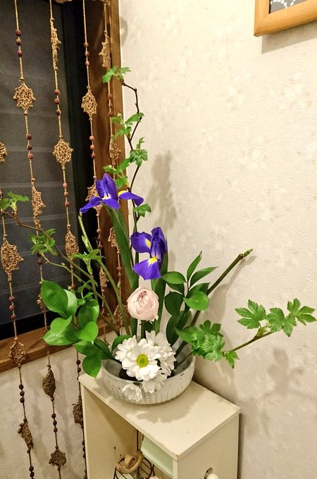 枯れたのtwitterイラスト検索結果