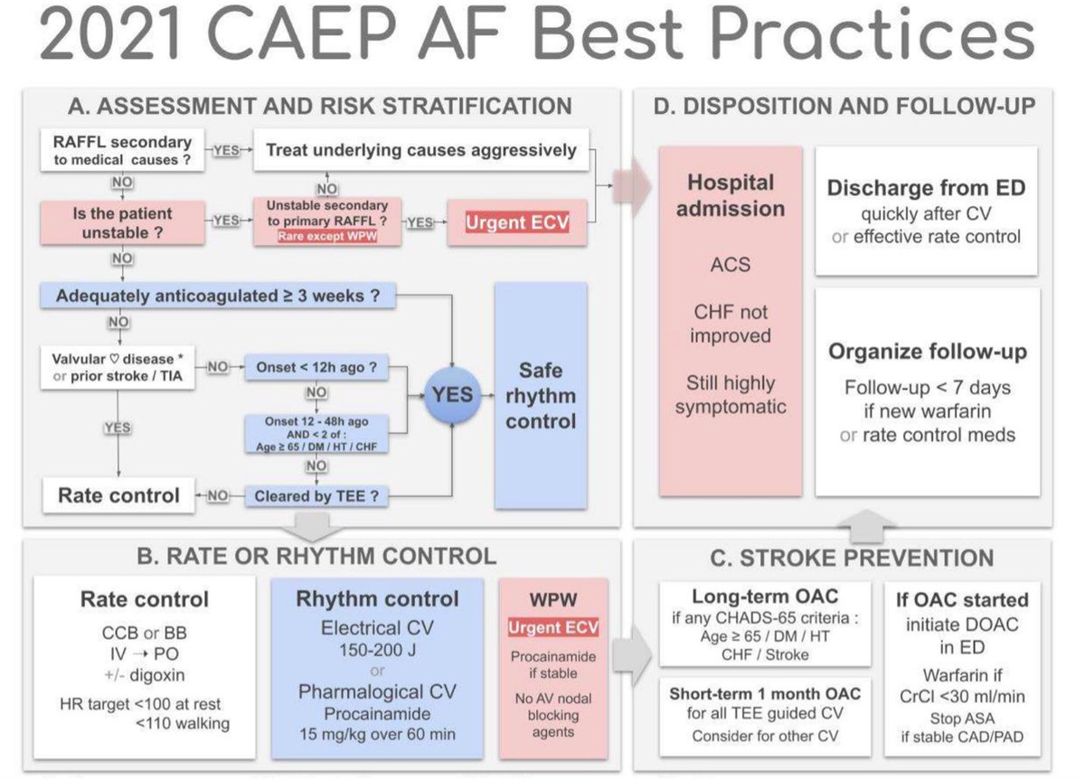 emergmedottawa's tweet photo. Are you totally caught up on the new @CAEP_Docs Atrial fibrillation/flutter best practice guidelines? 

With nuances around timing/anticoagulation, Dr. @king_pascale breaks it all down to spoon feed us what we need: https://t.co/2w5BPw9QkY https://t.co/J4NNQFeYhh