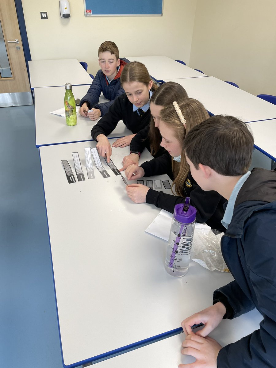 HawliauYGGwyr's tweet photo. Diolch i Carys o @cyngorabertawe am ddod i gynnal gweithgareddau gyda Bl.7 am eu hawliau a beth ellir gwneud er mwyn eu hyrwyddo. #uncrc #ccuhp #Erthygl12 https://t.co/36jIFM8Xpq