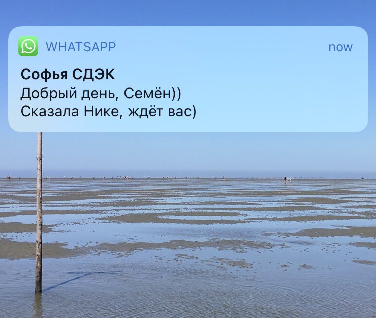 Дорогая, это не то, что ты подумала, я просто хожу отправлять карты России))