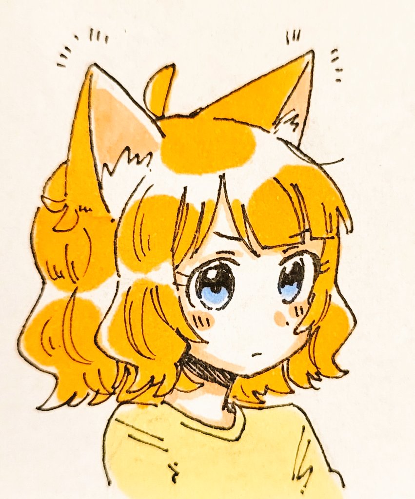 1girl animal ears solo blue eyes shirt cat ears yellow shirt  illustration images