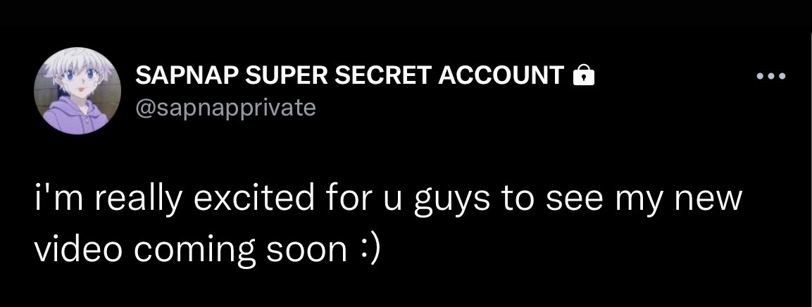 updatingdtqk's tweet image. sapnap priv tweet !