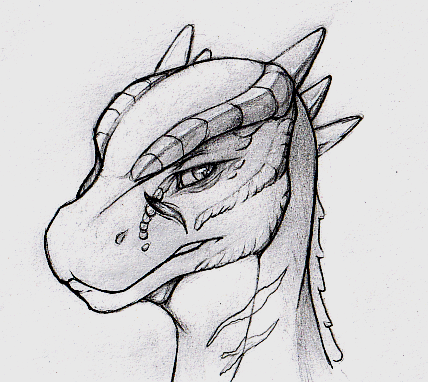 DrawsRoz's tweet photo. Headshot comm for @cokesero_art !! 
Part of the currently open emergency comms.
#Skyrim #Deeja https://t.co/fbdVbn4YhK