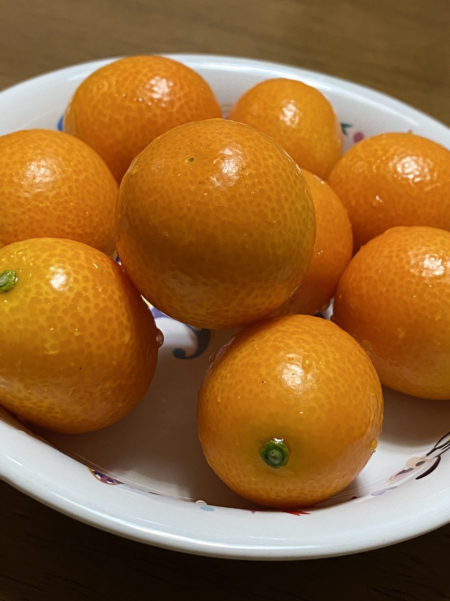 山路力也 S Tweet 今夜のデザートは宮崎県産の完熟キンカン たまたま 果物なのに 栄養機能食品 として売られている優れもの 生で皮ごと食べてビタミンcやビタミンeを美味しく摂取出来ます サプリ要らず Trendsmap