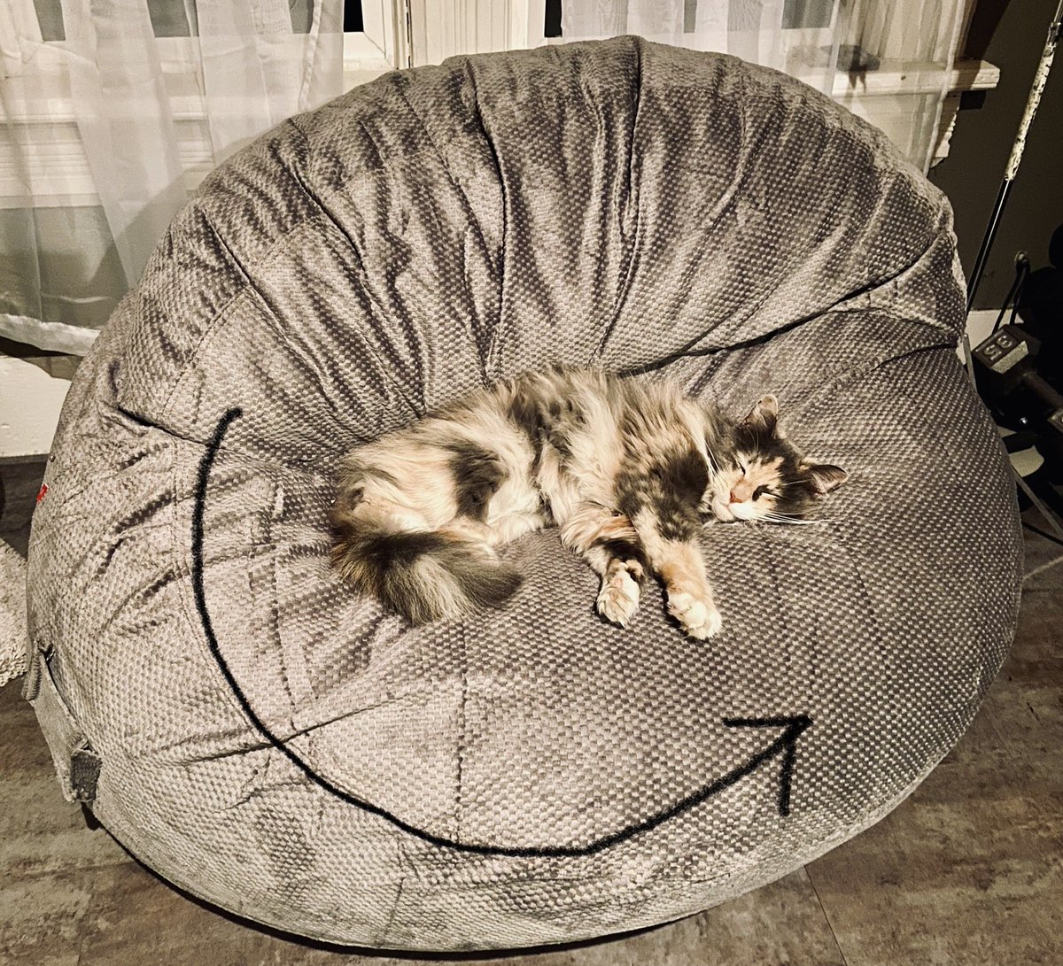 jeffrey_ventre's tweet image. Meteorologists unveil hi res images detailing what lies inside the eye of a hurricane 

#counterclockwise flow 
#Ruby 
#Cat #CatsOfTwitter #science