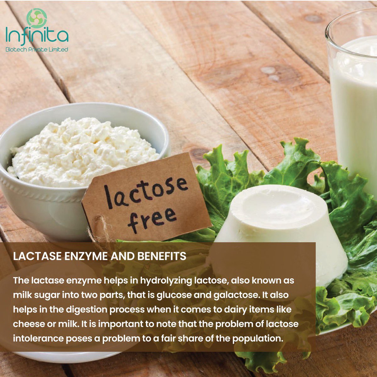 infinitabiotech's tweet photo. Did you know that lactase enzymes have various health benefits, especially when it comes to those having a lactase enzyme deficiency in their bodies ?

To know more visit us over our blog:- https://t.co/6JJ8V0VY5r

#enzymes #enzymemanufacturer #lactaseenzyme #lactoseintolerance https://t.co/Ywv1wP6GIc